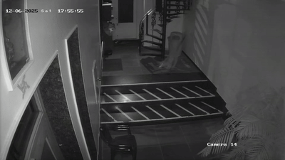 Rajasthan: राजधानी में लेपर्ड का 'आतंक', एक बार फिर जयपुर के रिहायशी इलाके में तेंदुए का मूवमेंट; करीब 7 क्षेत्रों में खौफ