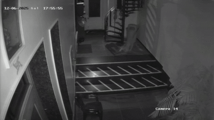 राजधानी में लेपर्ड का 'आतंक', फिर जयपुर के रिहायशी इलाके में तेंदुए का मूवमेंट; करीब 7 क्षेत्रों में खौफ