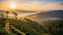 Why Coorg Is Called The Mini Scotland Of India And How To Plan A Trip