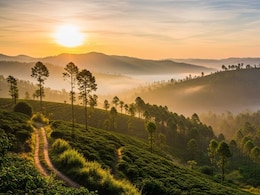 Why Coorg Is Called The Mini Scotland Of India And How To Plan A Trip