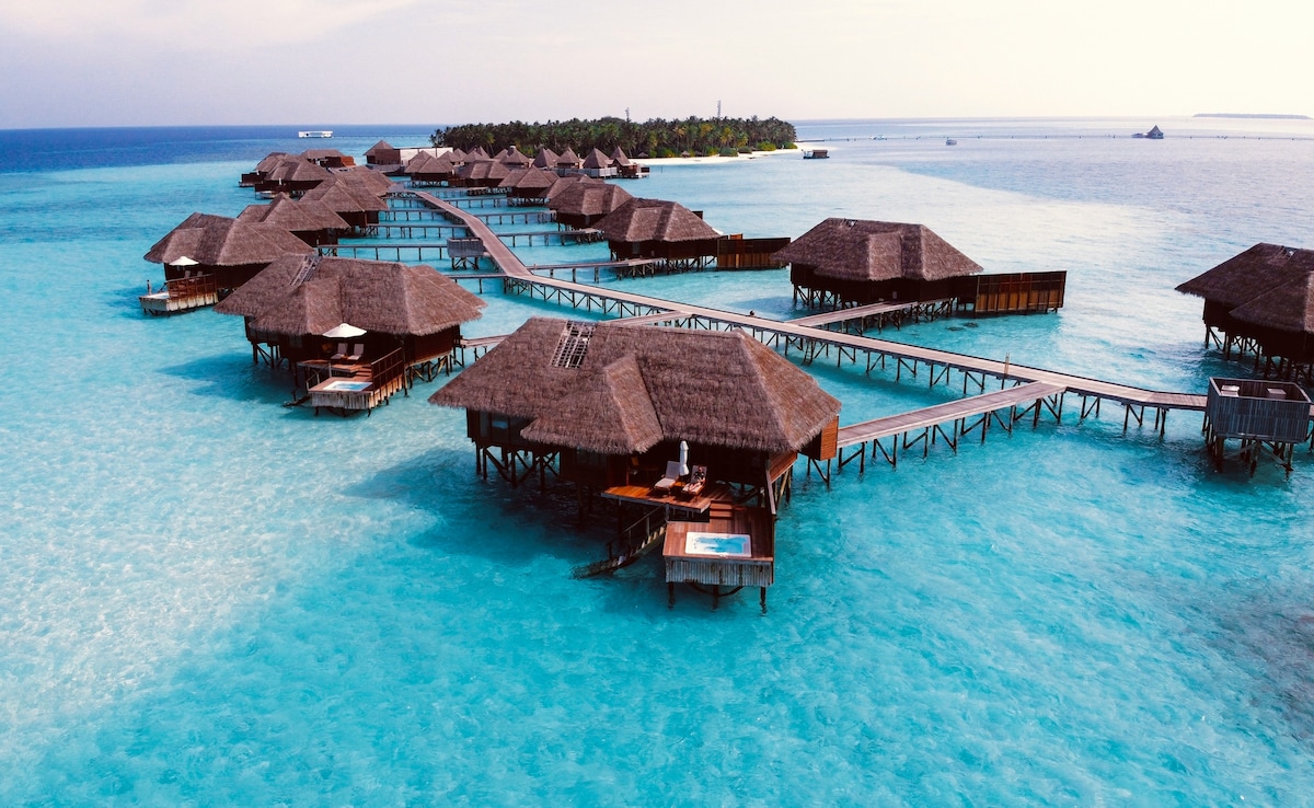 Latest and Breaking News on NDTV Latest and Breaking News on NDTV