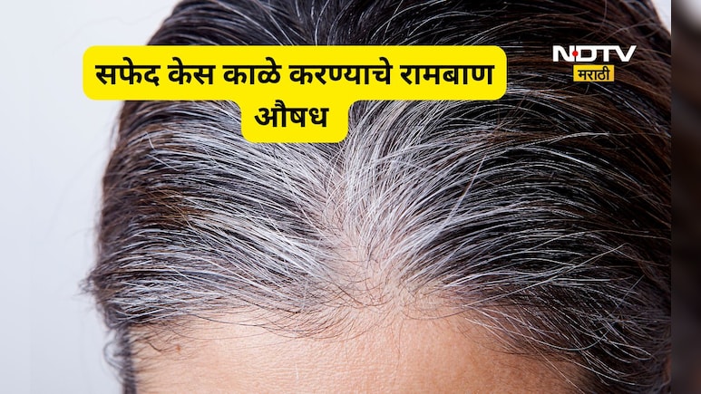 Home Remedies: पांढरे केस काळे करण्यासाठी लावा 'हे' तेल, काही दिवसातच होतील काळेभोर केस