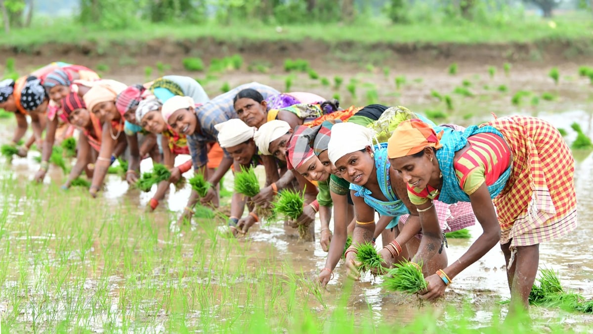 Latest and Breaking News on NDTV Latest and Breaking News on NDTV