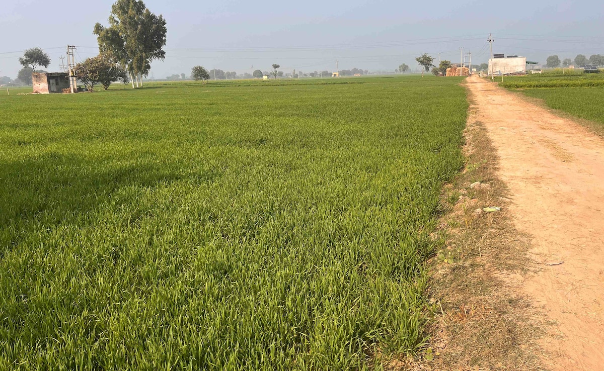 Latest and Breaking News on NDTV Latest and Breaking News on NDTV