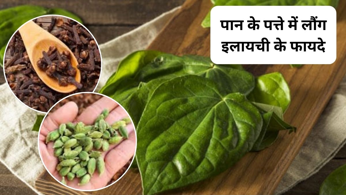 पान के पत्ते में लौंग-इलायची मिलाकर खाने से क्या होता है? त्वचा और बालों पर इसका कैसा असर होता है, एक्सपर्ट ने बताए फायदे