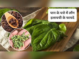 पान के पत्ते में लौंग-इलायची मिलाकर खाने से क्या होता है? त्वचा और बालों पर इसका कैसा असर होता है, एक्सपर्ट ने बताए फायदे