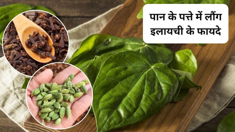 पान के पत्ते में लौंग-इलायची मिलाकर खाने से क्या होता है? त्वचा और बालों पर इसका कैसा असर होता है, एक्सपर्ट ने बताए फायदे