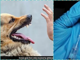 रेबीज टीके को लेकर IIL का दावा, बाजार में उपलब्ध और सरकारी सप्लाई पूरी तरह सुरक्षित