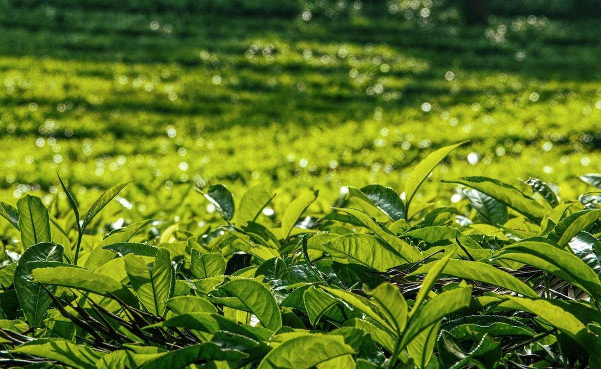 Latest and Breaking News on NDTV Latest and Breaking News on NDTV