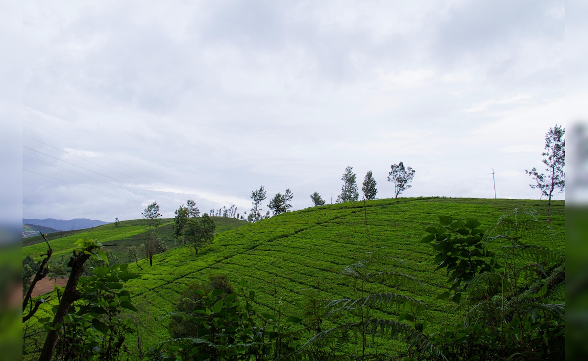 Latest and Breaking News on NDTV