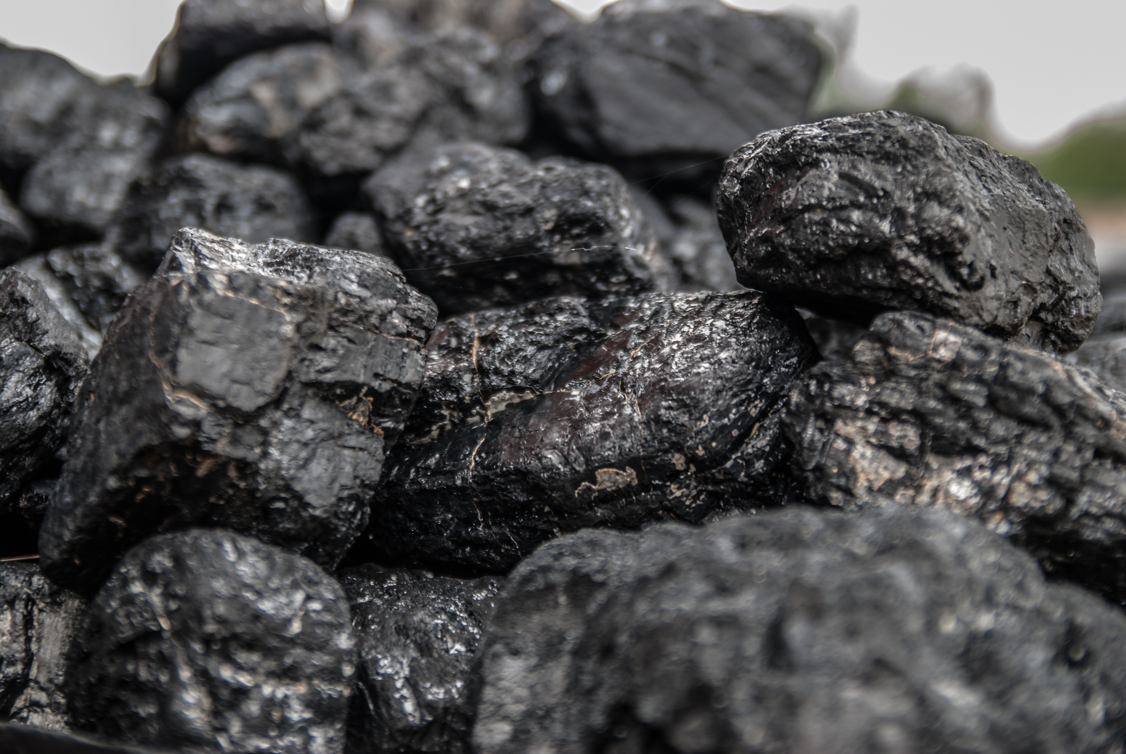 Coal India Q2 Results Review - On Track For Volume Ramp-Up: ICICI ...