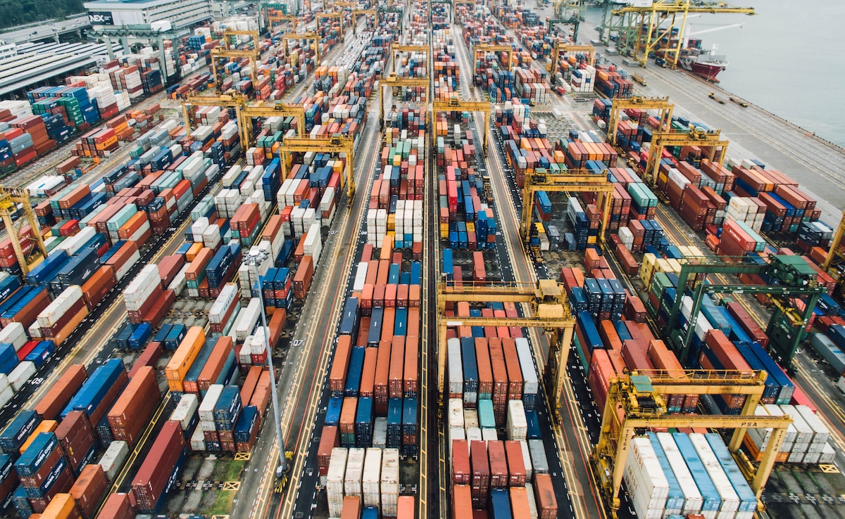 The Art of Baking: From Classic Bread to Artisan Pastries