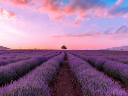 10 Most Beautiful Countries In The World For Your 2026 Holiday