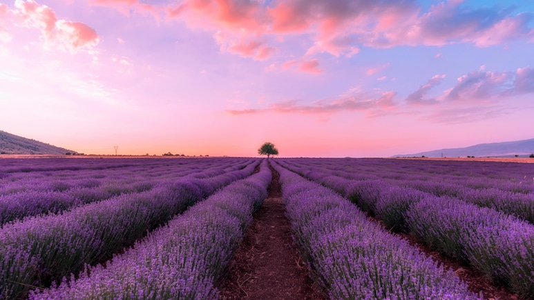 10 Most Beautiful Countries In The World For Your 2026 Holiday