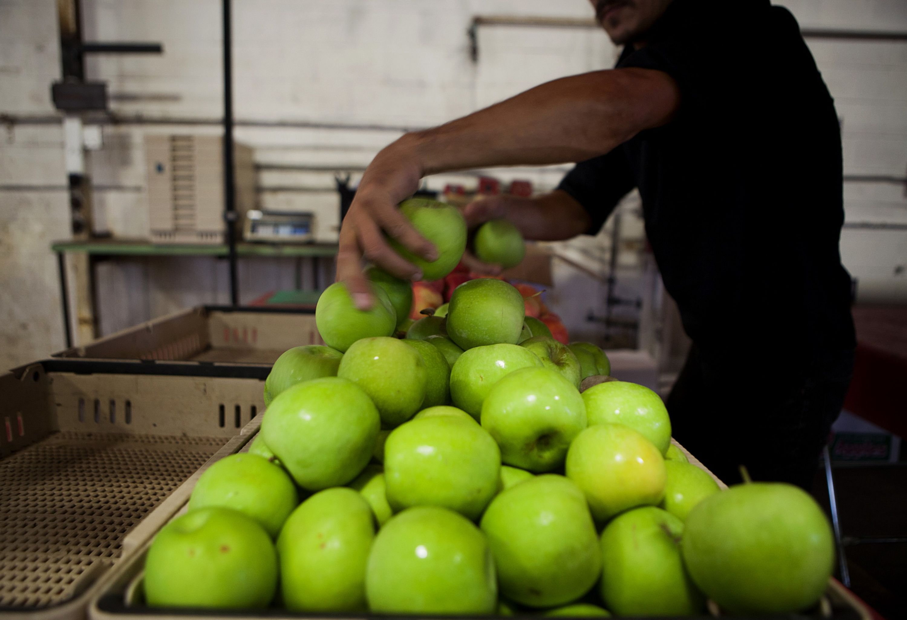 Top Four Stock Picks For December: Yes Securities