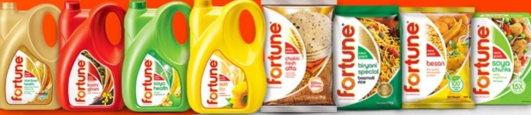 Adani Wilmar IPO - Investment Rationale, Key Risks, Concerns: ICICI Direct