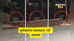 Pune News: पुणेकरांनो सावधान! तुमच्या शहरातल्या 'या' भागातही आता बिबट्याचा वावर, Video आला समोर