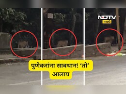 Pune News: पुणेकरांनो सावधान! तुमच्या शहरातल्या 'या' भागातही आता बिबट्याचा वावर, Video आला समोर