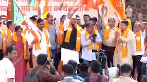 Maharashtra Local Body Elections: Celebrations At BJP Office After Mahayuti's Win