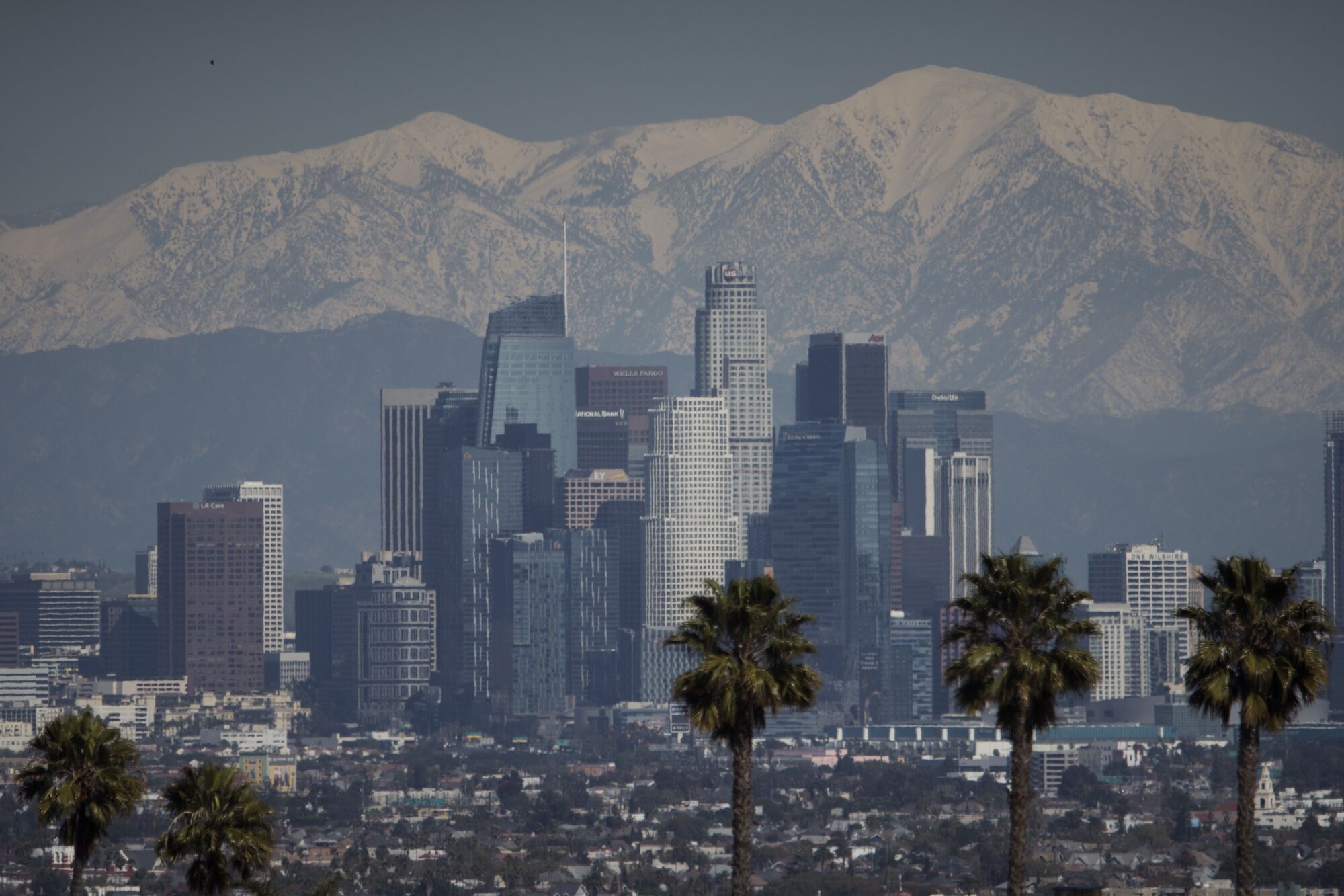 Billions in LA Real Estate Fueled Brothers&rsquo; Epic Court Fight