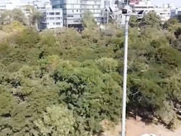 Ek Bagiya Maa Ke Naam: मेट्रो स्टेशन की भेंट चढ़ेगी हरियाली? कागजों में हरा-भरा, जमीन पर उजड़ रहे जंगल