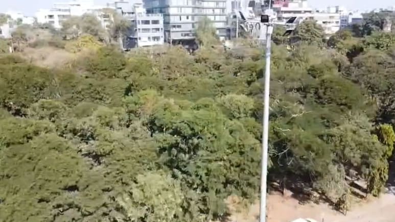 Ek Bagiya Maa Ke Naam: मेट्रो स्टेशन की भेंट चढ़ेगी हरियाली? कागजों में हरा-भरा, जमीन पर उजड़ रहे जंगल
