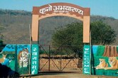 कूनो नेशनल पार्क से आई दिल दुखाने वाली खबर, मादा चीता KGP-12 के 4 शावकों की मौत, क्षत-विक्षत शव मिले