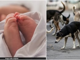 ओडिशा के गांव में जन्म के तुरंत बाद फेंके गए नवजात को कुत्तों ने नोंच डाला, शव के टुकड़े देख कांप उठे लोग