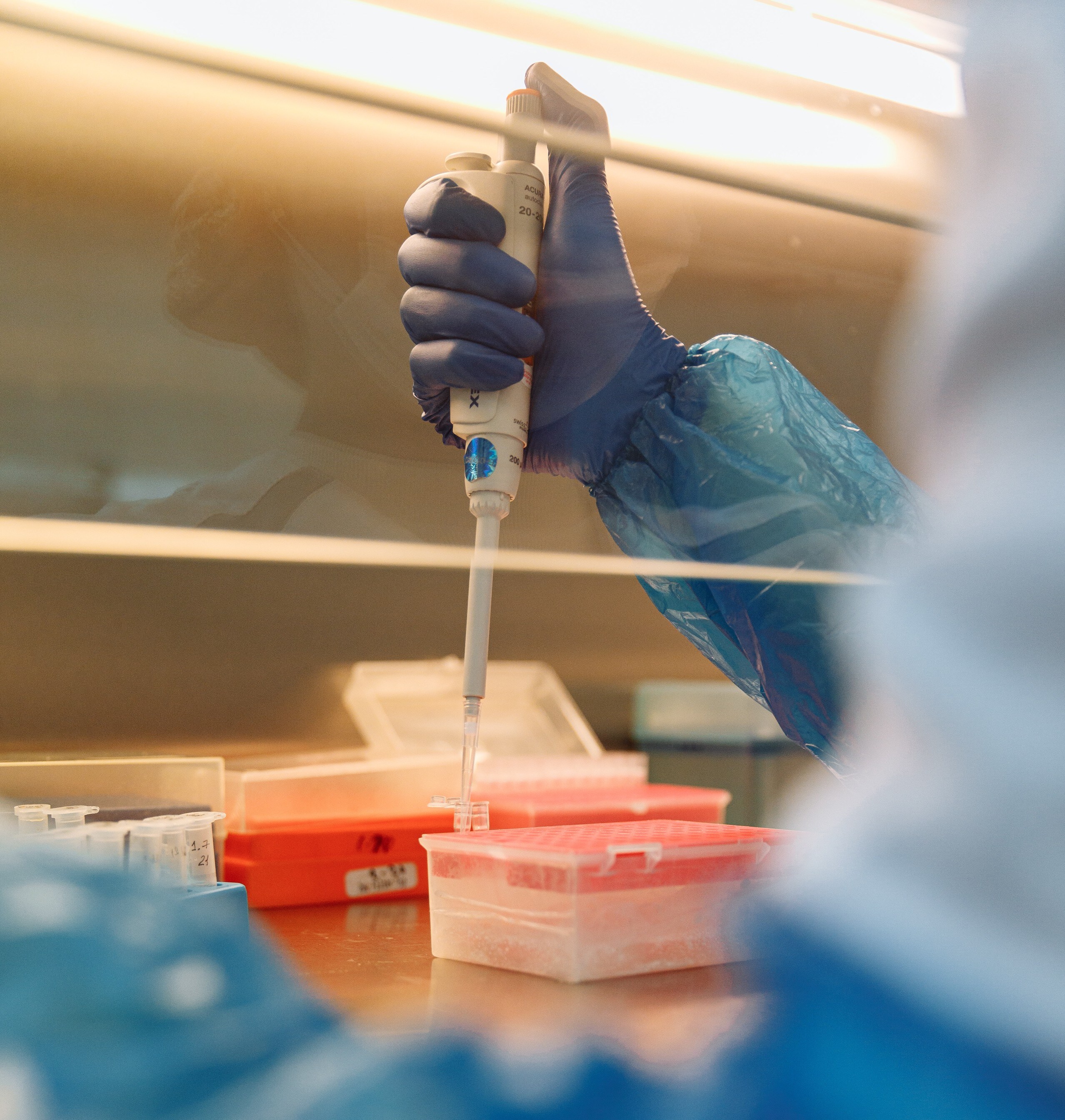 Thyrocare Technologies Shares Hit Eight-Month High After Rise In Q4 Net Profit 