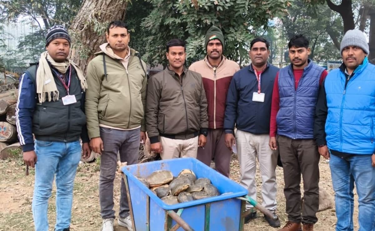 Latest and Breaking News on NDTV