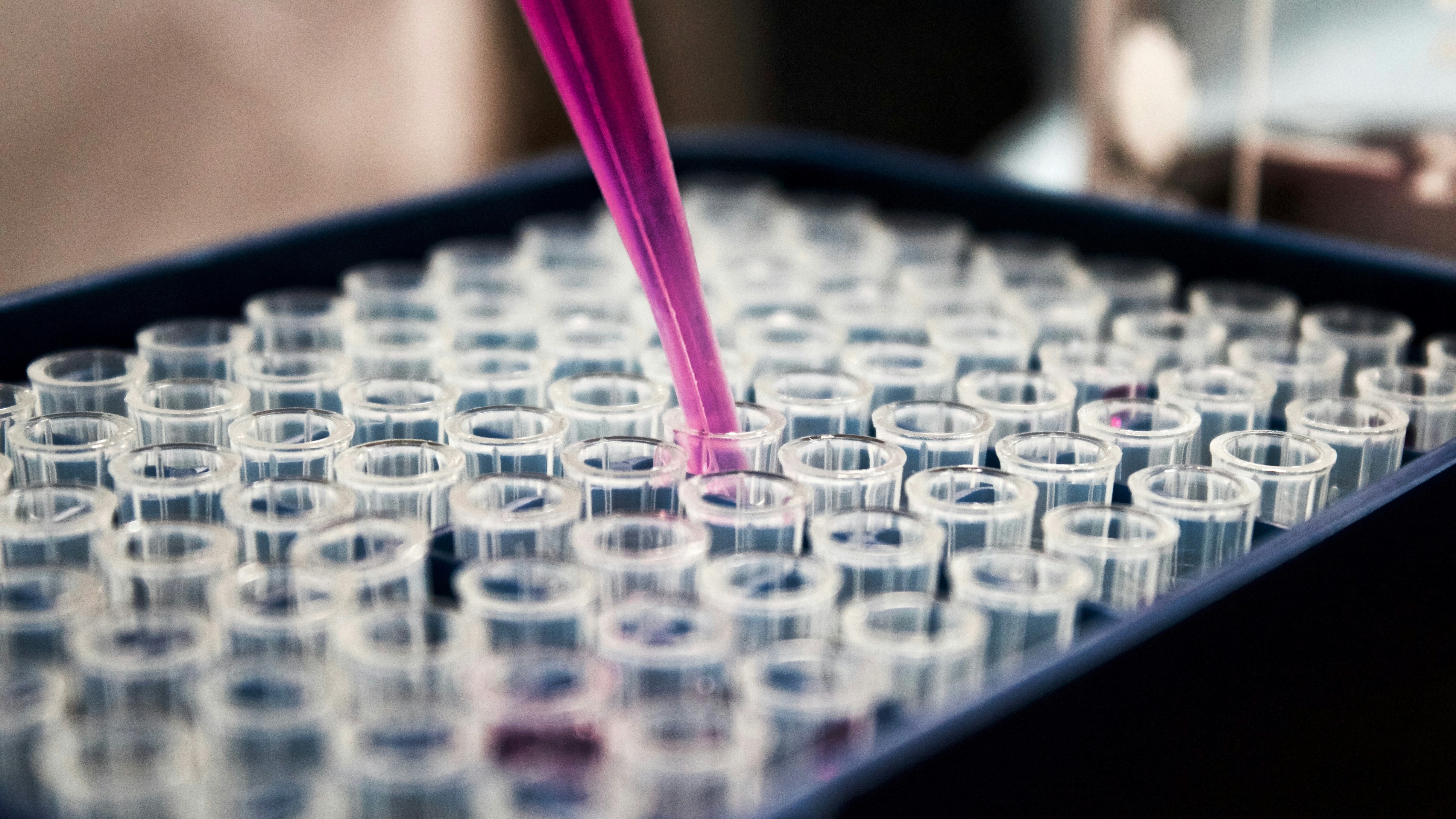 Pax Silica: Jindal Says India Should Focus On Developing Own Reserves, Has Lot Of Reserves