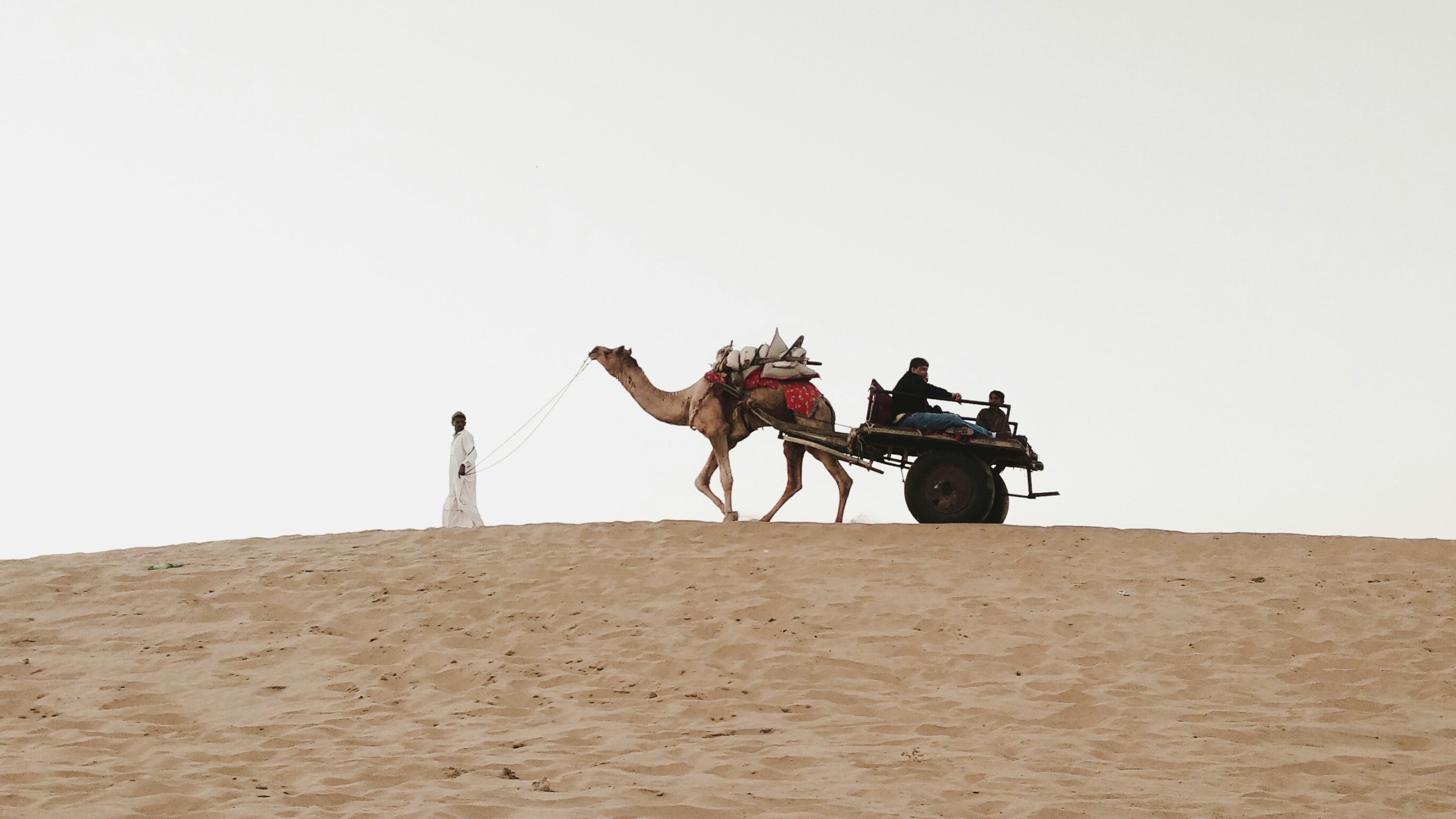 Domestic Tourism In Rajasthan Up 12 Times Since 2020, Foreigners See Huge Spike