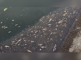 NDTV की पड़ताल में बड़ा खुलासा... रात के अंधेरे में मछुआरे कर रहे  नदी में बड़ा ब्लास्ट, मारे जा रहे जलीय जीव