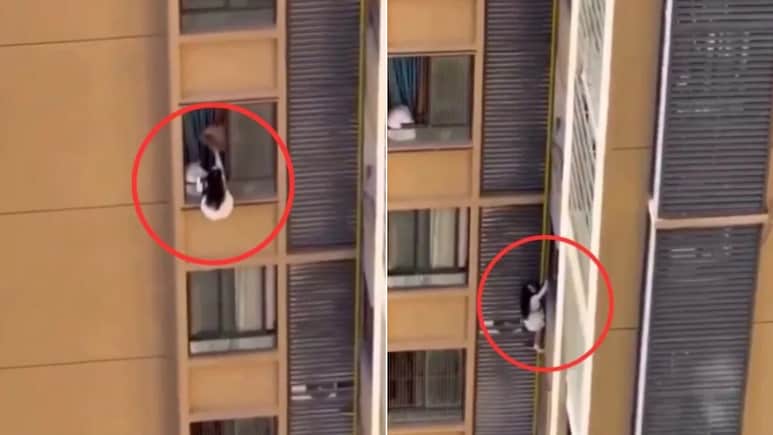 विवाहित पुरुषासोबत सुरु होता रोमान्स, अचानक आली पत्नी ! 10 व्या मजल्याच्या खिडकीत लटकली गर्लफ्रेंड, पाहा VIDEO