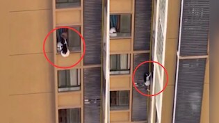 शादीशुदा मर्द के संग हो रहा था रोमांस, तभी अचानक आ धमकी पत्नी, गर्लफ्रेंड ने ऐसे बचाई जान