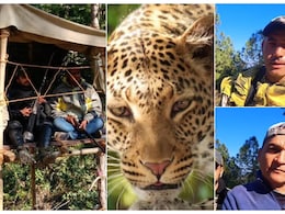 1 आदमखोर तेंदुआ और मचान पर 3 शिकारी, उत्तराखंड के पौड़ी में खौफ के बीच चल रही अलग ही लुकाछिपी