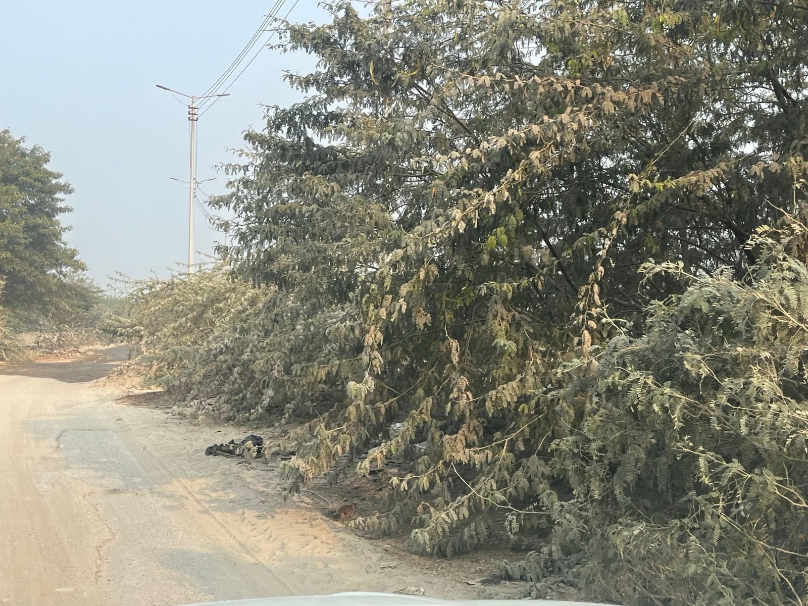 Latest and Breaking News on NDTV