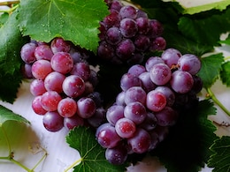 Why People Eat 12 Grapes On New Year's Eve? Know Origin, History Of Popular Ritual