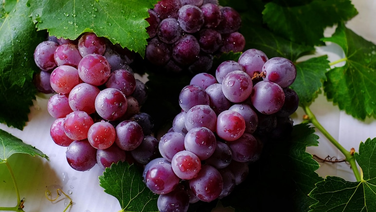 Why People Eat 12 Grapes On New Year's Eve? Know Origin, History Of Popular Ritual