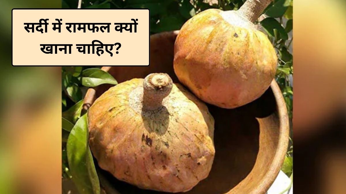 सर्दी में रामफल खाने से क्या होता है? रामफल गर्म है या ठंडा, न्यूट्रिशन से जानिए रामफल फल किसके लिए अच्छा