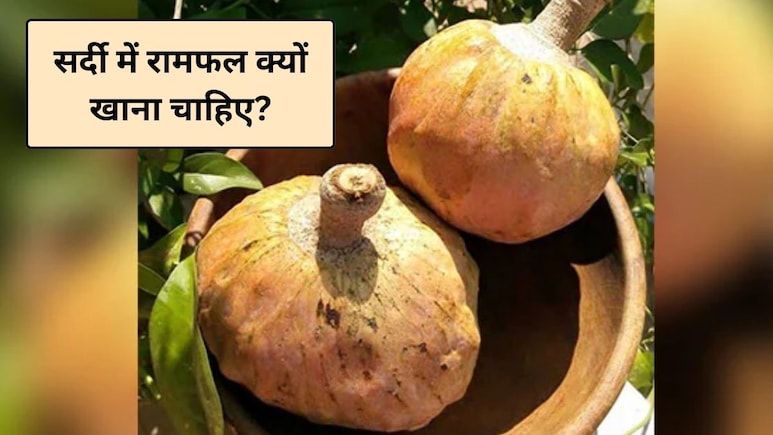 सर्दी में रामफल खाने से क्या होता है? रामफल गर्म है या ठंडा, न्यूट्रिशन से जानिए रामफल फल किसके लिए अच्छा