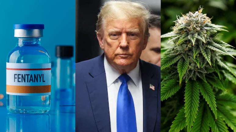 ट्रंप ने इस ड्रग्स को घोषित किया 'सामूहिक विनाश का हथियार' तो गांजे पर खूब लुटा रहे प्यार