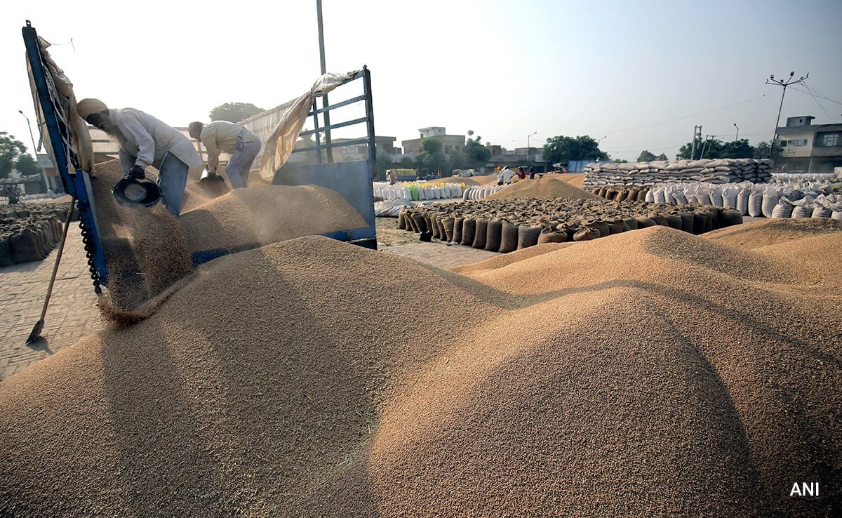 Wheat Arrivals In Punjab Cross 100 Lakh Metric Tonne