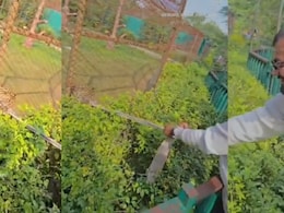 ZOO में युवक ने तेंदुए को मफलर में फंसाकर की खींचने की कोशिश, वीडियो वायरल होने से मचा हड़कंप