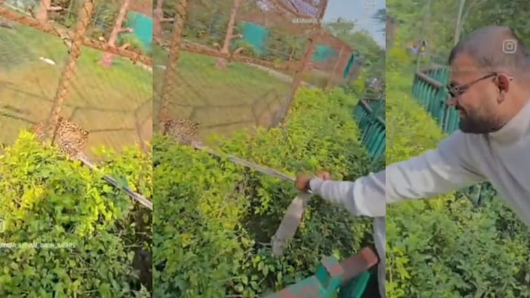 ZOO में युवक ने तेंदुए को मफलर में फंसाकर की खींचने की कोशिश, वीडियो वायरल होने से मचा हड़कंप