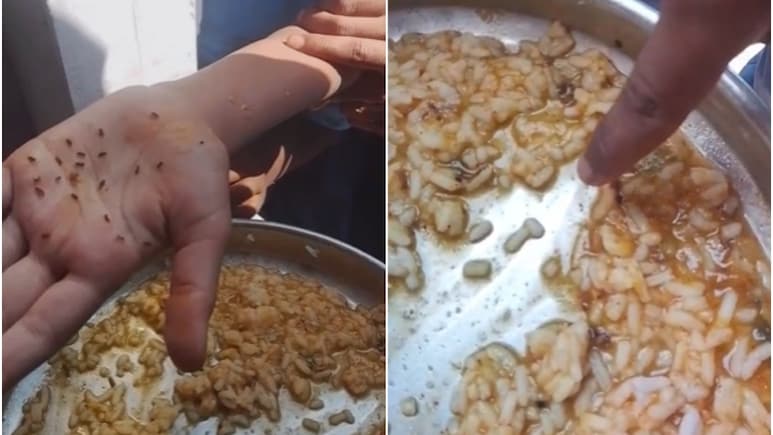 बच्&zwj;चे ने दाल-चावल की प्&zwj;लेट से निकाल कर दिखाए कीड़े ही कीड़े, कर्नाटक में मिड-डे मील को लेकर हंगामा