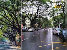 Pune News : 50 पावसाळे, शून्य खड्डे; पुण्याच्या 'या' ऐतिहासिक रस्त्याचा 1 जानेवारीला सुवर्णमहोत्सव, वाचा रहस्य