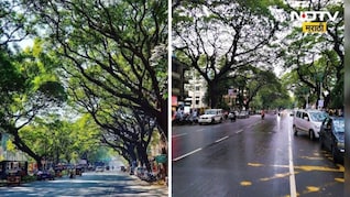 Pune News : 50 पावसाळे, शून्य खड्डे; पुण्याच्या 'या' ऐतिहासिक रस्त्याचा 1 जानेवारीला सुवर्णमहोत्सव, वाचा रहस्य