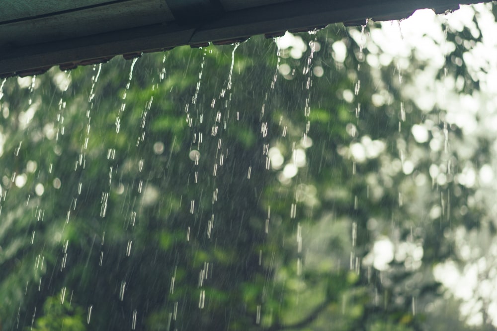 A Delayed La Ni&ntilde;a Bodes Well For Crop Harvests This Monsoon, Say Analysts