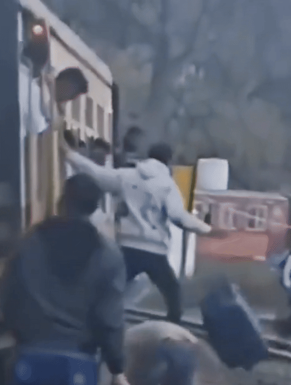 जान की कीमत बस इत्तू सी? शिमला में चलती टॉय ट्रेन से आखिर क्यों कूद रहे पर्यटक